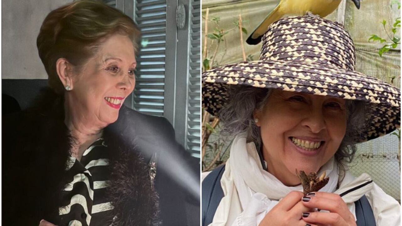 Las plataformas digitales son el blanco de ataque de los ciberdelincuentes.