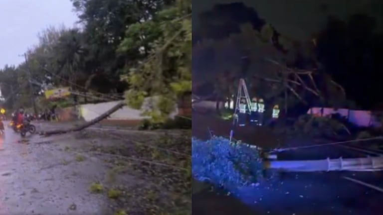 Emergencia en la vía Jamundí-Cali, en inmediaciones de El Castillo, por caída de árboles a raíz de las fuertes lluvias.
