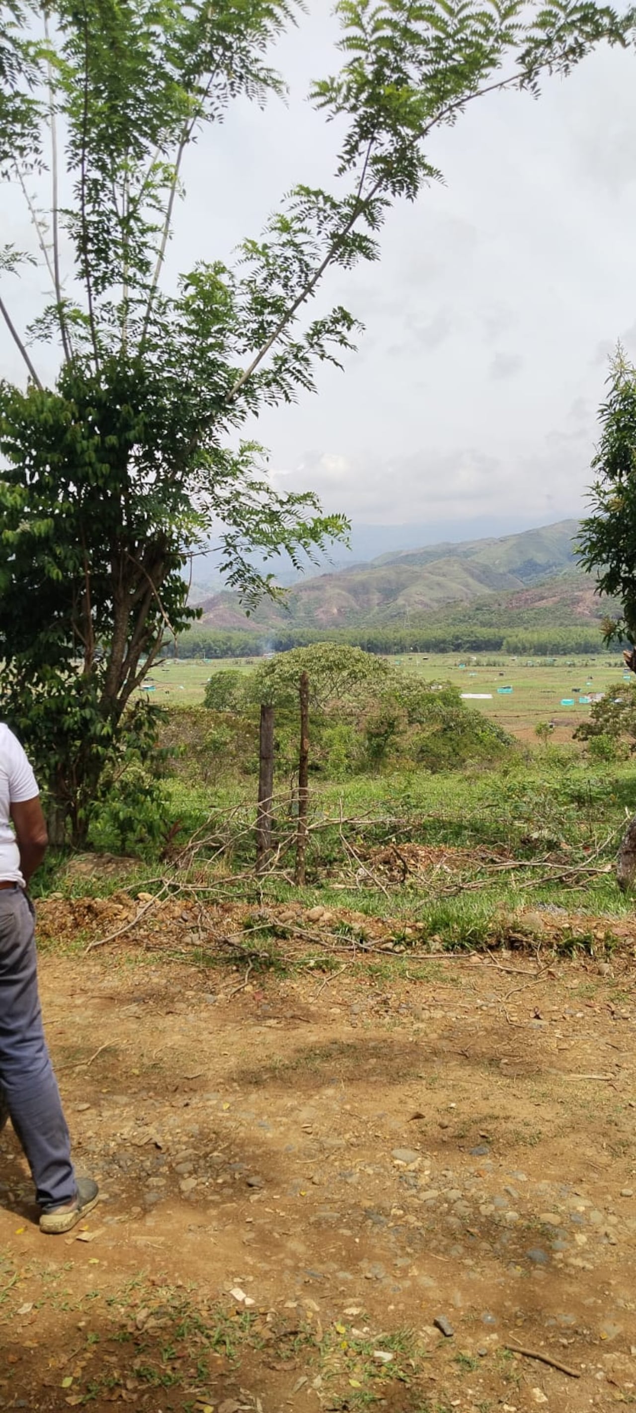 Esta invasión se suma a otras que se han presentado en los últimos meses en esta zona del municipio.