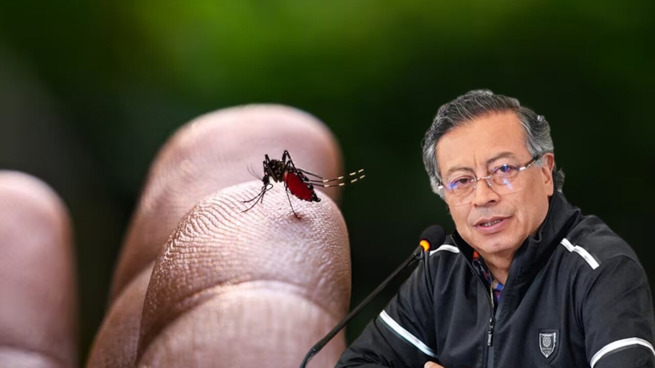 Petro anuncia medidas por casos de fiebre amarilla. Declarará emergencia económica y sanitaria.