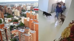 Ataque de pitbull a niño en Barranquilla