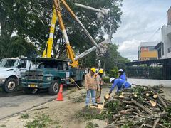 Emcali trabaja en retirar árbol caído sobre la avenida 4N entre calles 40 y 41 y las líneas primarias, también se cambia poste quebrado.
