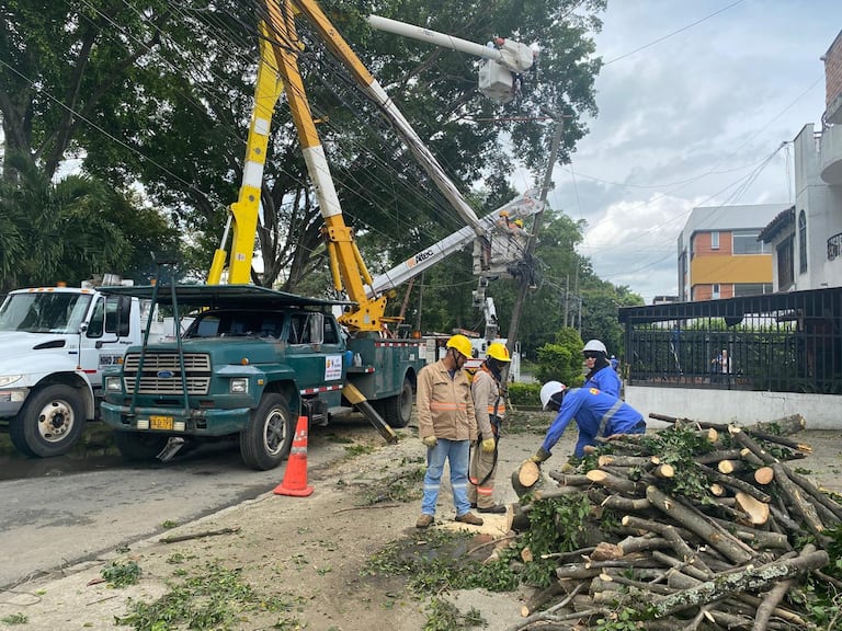 Emcali trabaja en retirar árbol caído sobre la avenida 4N entre calles 40 y 41 y las líneas primarias, también se cambia poste quebrado.