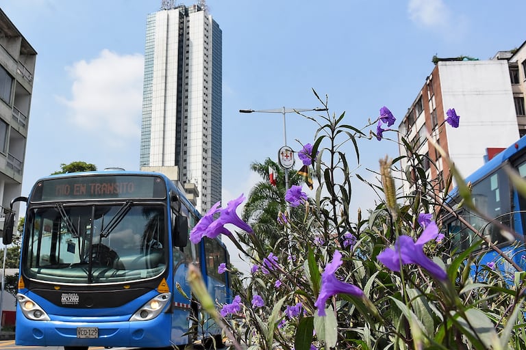 Concejales citan a Metrocali a debate de control político.