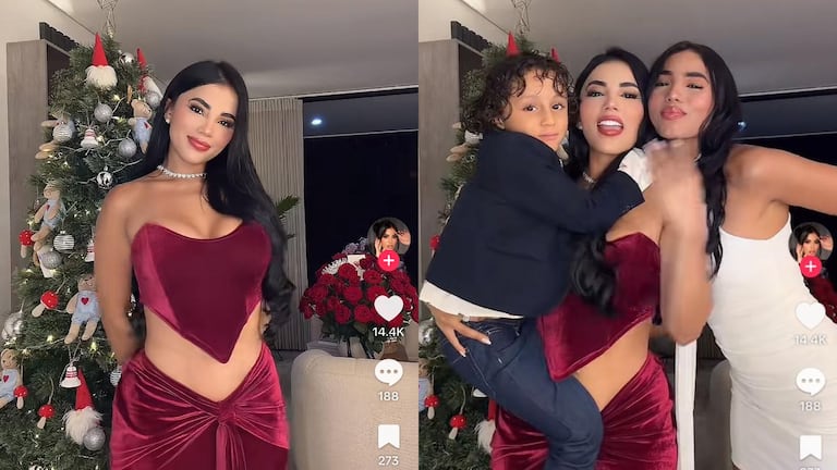 Fuertes críticas a la influencer paisa por su decoración de árbol de Navidad.
