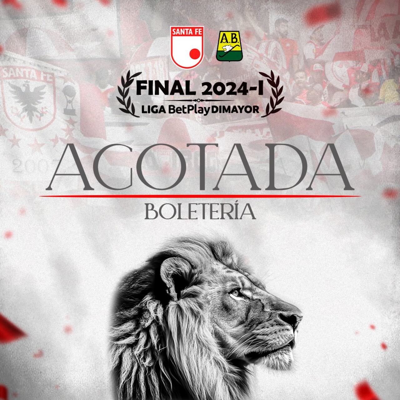 Mancha 'roja y blanca' en El Campín: Santa Fe agotó boletería para la gran final.