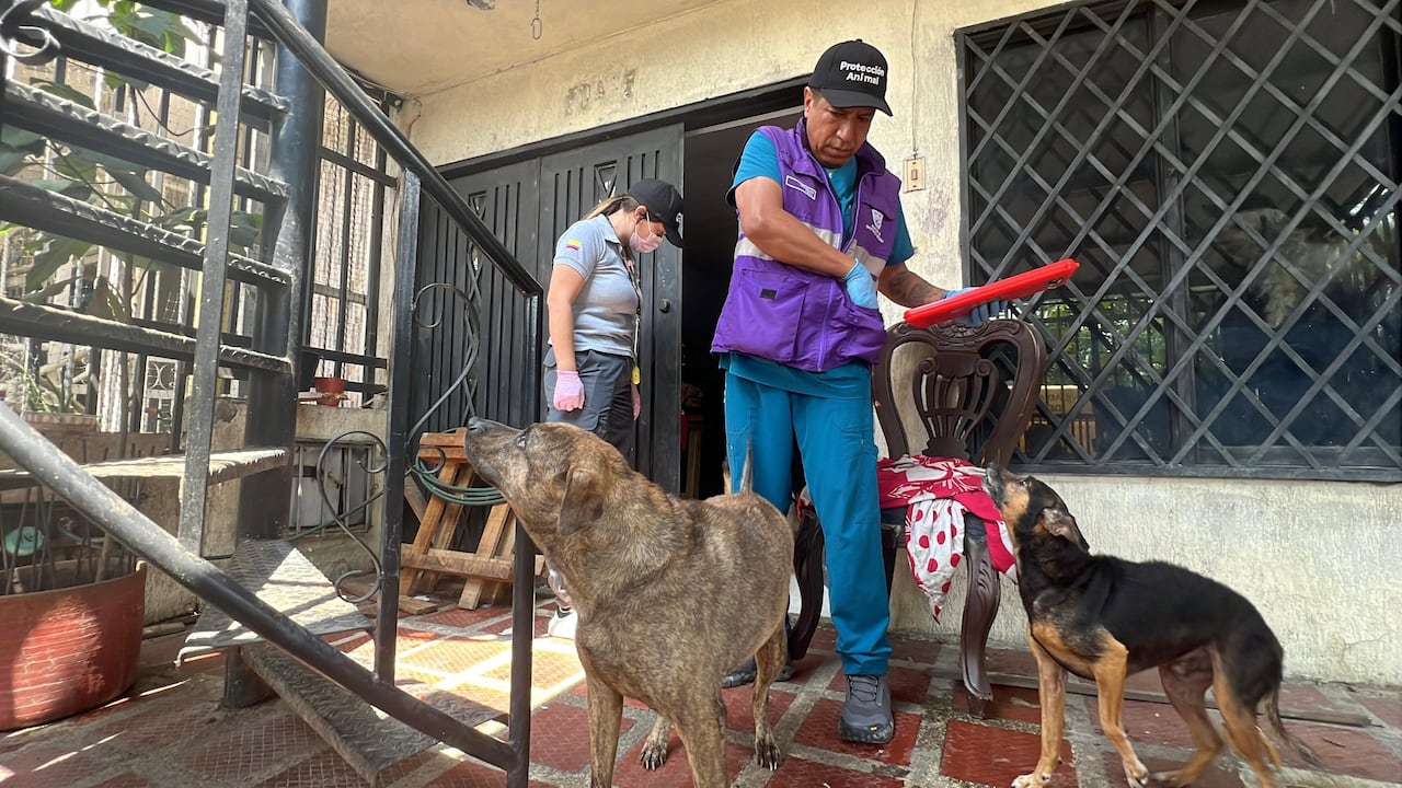 El operativo fue realizado a inicios de marzo de 2026 por la Unidad Administrativa Especial de Protección Animal (Uaepa).
