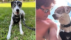 'Borges' con su cuidador, donde sale activamente en redes sociales.