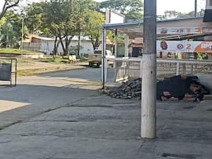 Las autoridades ya hacen presencia en el lugar.