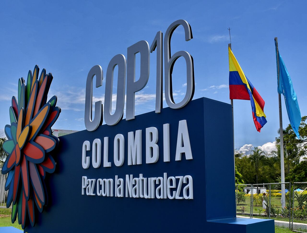 ONU izó su bandera y el Centro de Eventos Valle del Pacífico se convirtió en zona de jurisdicción internacional para albergar la COP16.
En presencia de las principales autoridades del Valle del Cauca y de las Naciones Unidas, se izó la bandera de la ONU en el Centro de Eventos Valle del Pacífico, marcando así la oficialización de la llegada de la COP16 a la ciudad. Fotos Raúl Palacios/ El Pais.