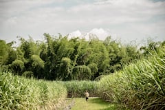 En el campo cañero, personal de seguridad y obreros enfrentan riesgos constantes por ataques y atracos.