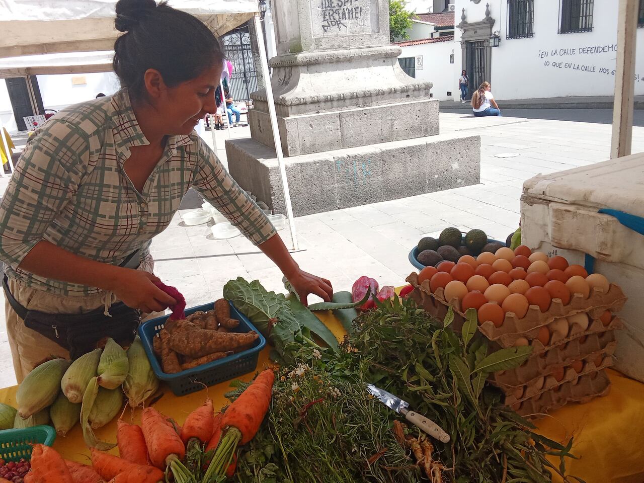 Más de treinta familias campesinas del sur del Cauca llegan a Popayán para participar en este Festival de la Cosecha y donde exponen la variedad de productos que cultivan en sus parcelas