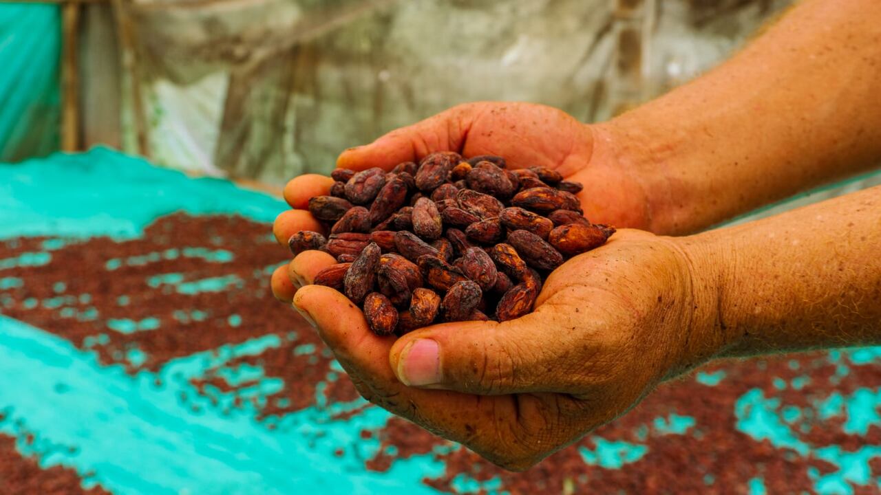 Entidad vallecaucana apoyará a más de 200 organizaciones colombianas.