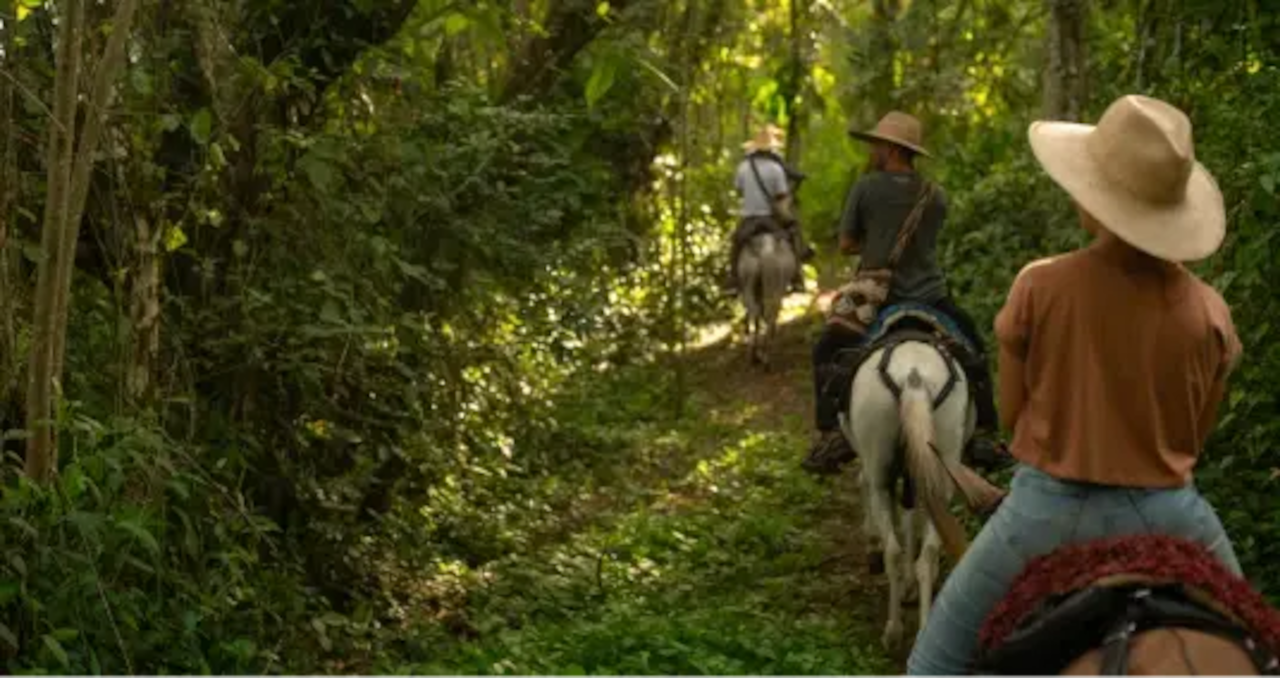 La Finca Viva de Biosuroeste: un nuevo parque para sentir y aprender de la vida campesina en familia
