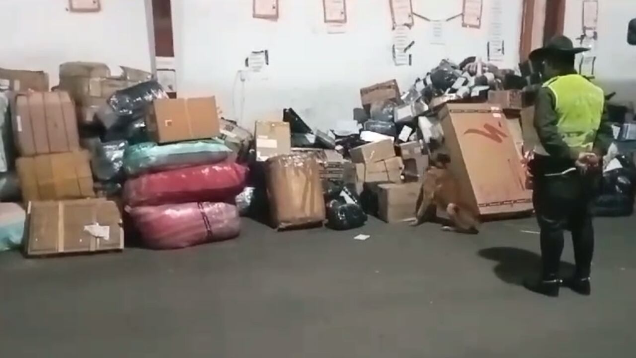 La mitad de los alucinógenos incautados habían sido empacados como regalos navideños.