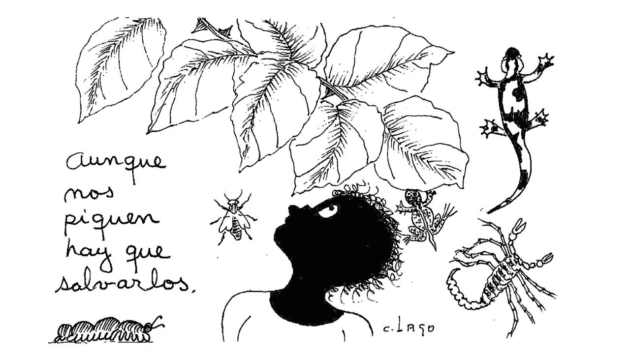 Caricatura de Nieves 31 de agosto de 2023