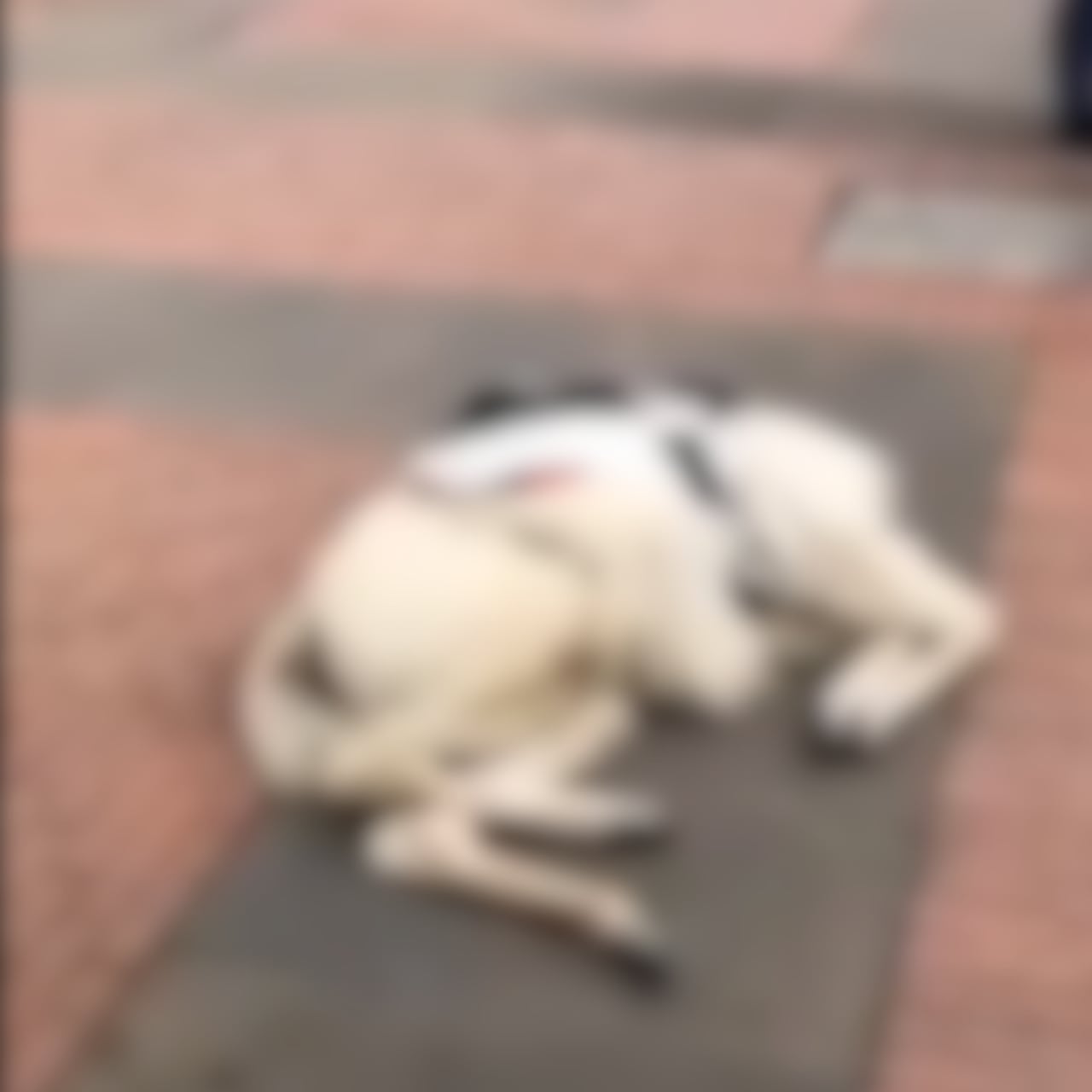 Los ciudadanos se mostraron indignados por estos hechos.