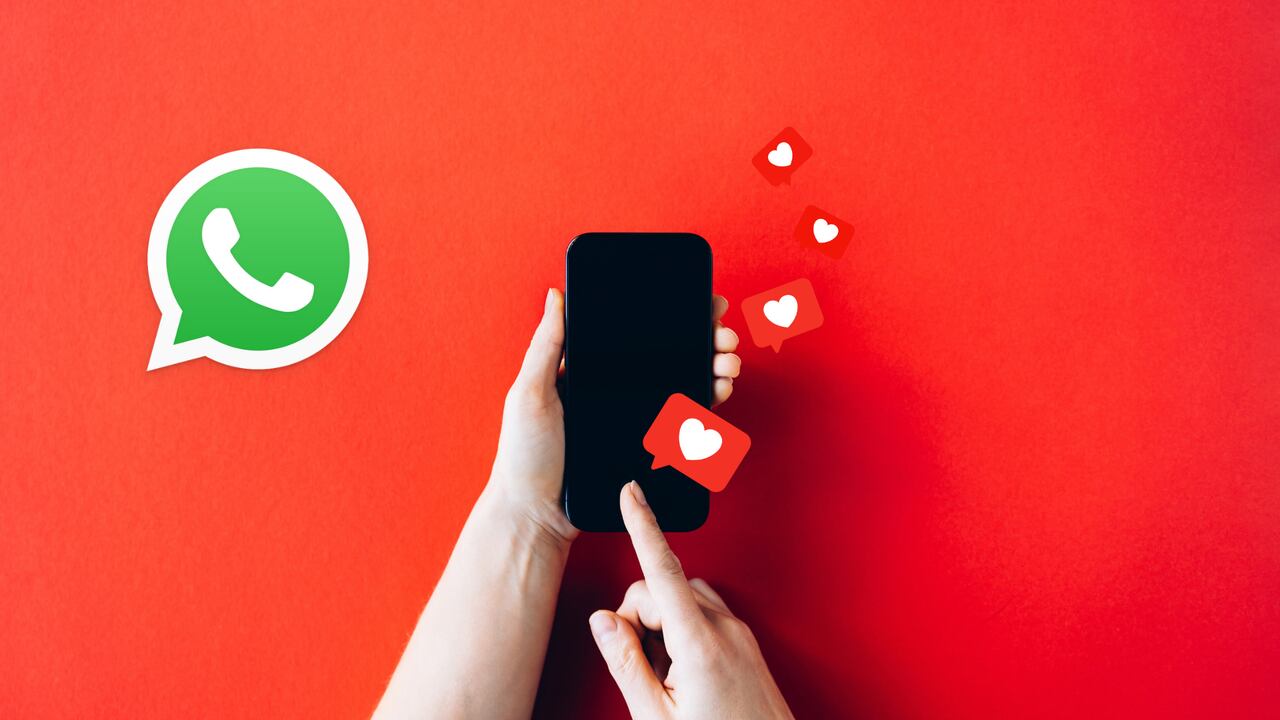 WhatsApp ofrece varias opciones de personalización.