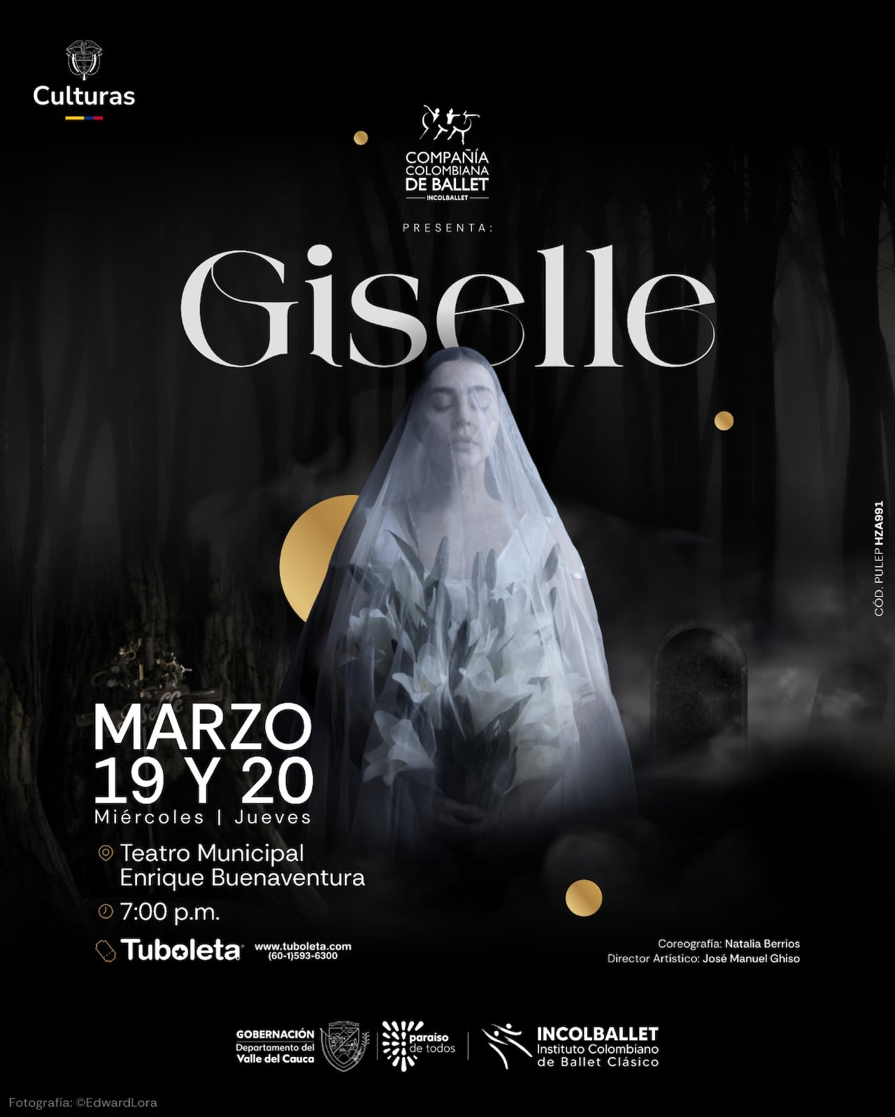 En los valles cercanos al río Rin vive Giselle, una campesina de gran belleza y extremada inocencia. Giselle desea ante todo bailar, pero es reprimida constantemente por su madre, quien teme, por su frágil y quebradiza salud, que Giselle muera.
La Compañía Colombiana de Ballet Clásico - CCB, creada en el año 2000, es la única compañía profesional de su género en Colombia. Está conformada en su mayoría por egresados del Instituto Colombiano de Ballet Clásico Incolballet.