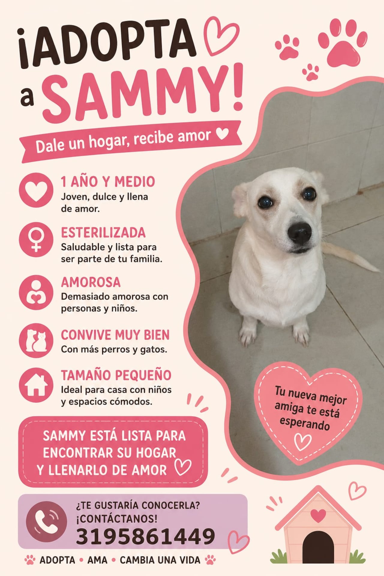 Perla, Sammy y Atena, las tres perritas adultas rescatadas que buscan un hogar definitivo en Cali tras afrontar dificultades de convivencia en su actual vivienda. Las tres mascotas se entregan completamente esterilizadas.