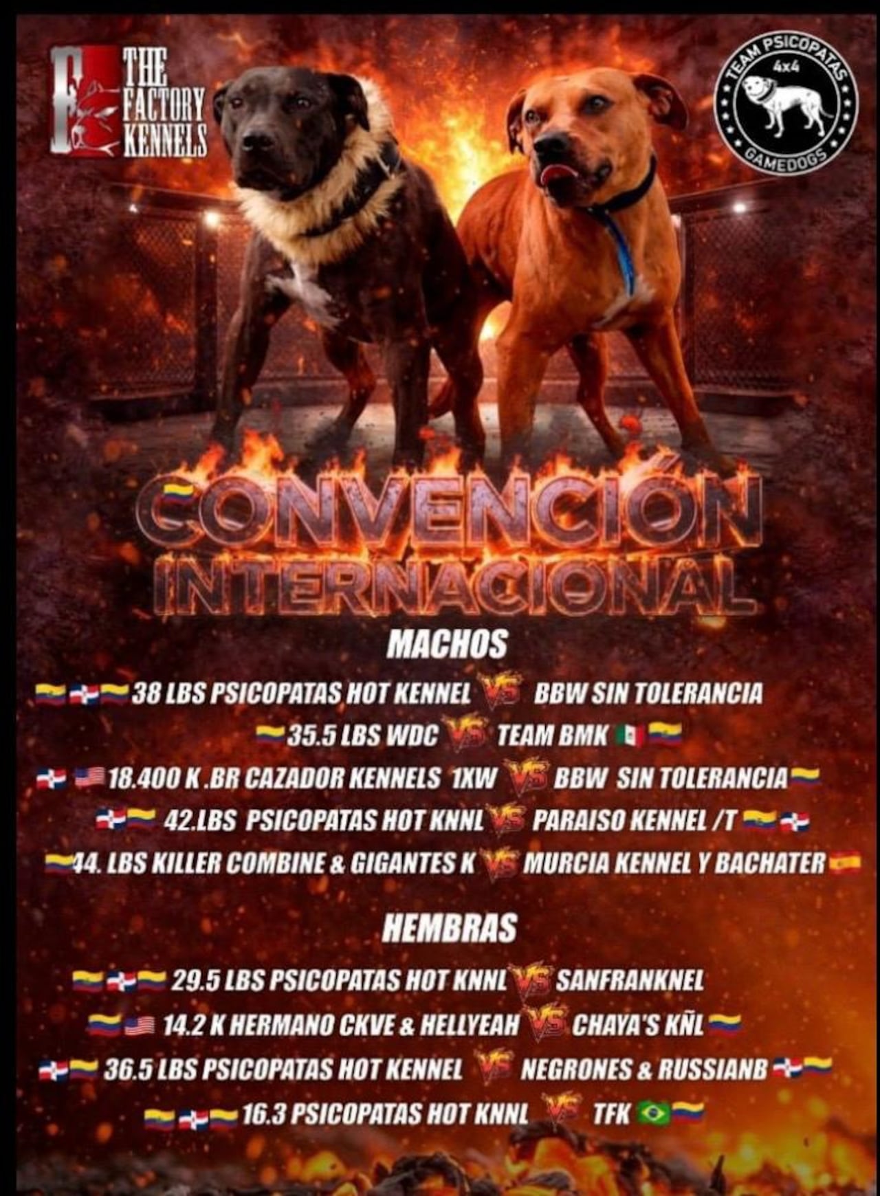 Este es el aviso promocional del evento internacional de peleas de perros.