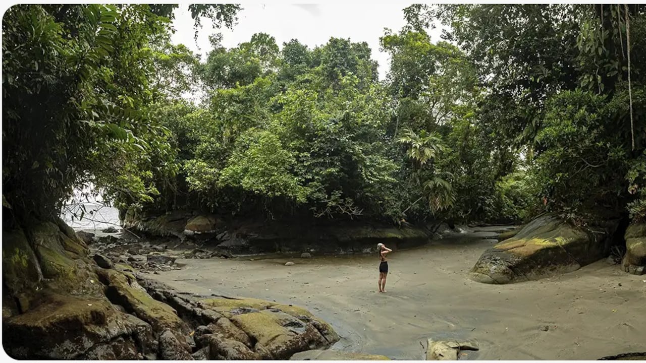 Bosque muy húmedo tropical, playas, acantilados, islas, el cuerpo de agua con fondos marinos blandos y rocosos.