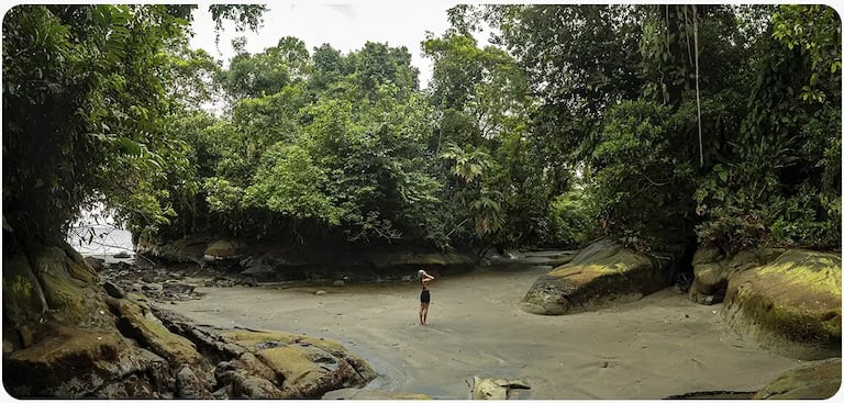 Bosque muy húmedo tropical, playas, acantilados, islas, el cuerpo de agua con fondos marinos blandos y rocosos.