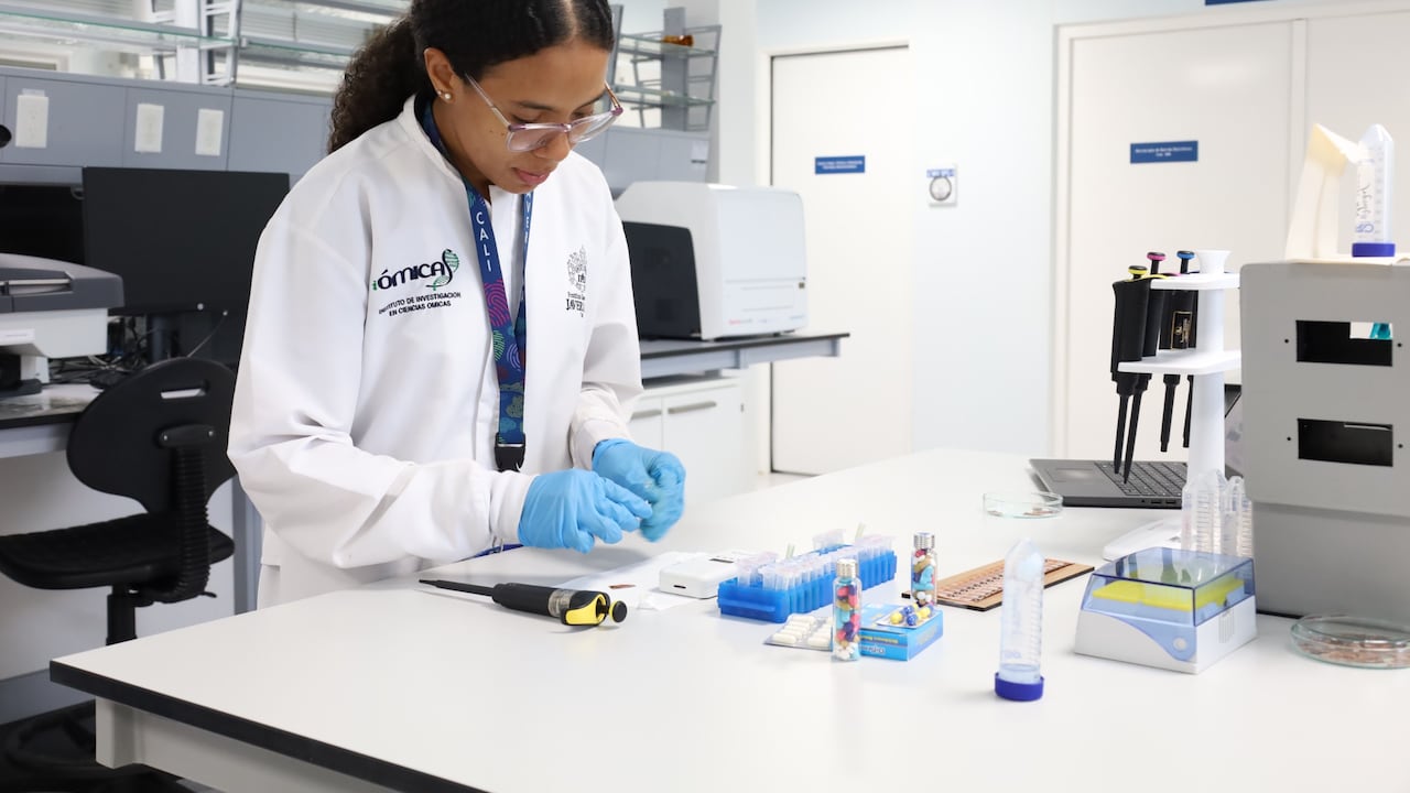El instituto mantiene alianzas con organizaciones internacionales para impulsar proyectos de ciencia e innovación.