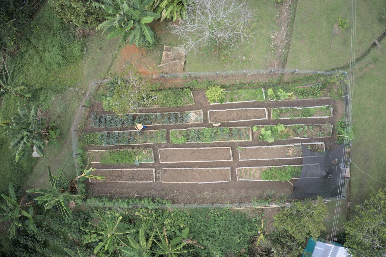 Hylea es un proyecto apoyado por Conservación Internacional Colombia, en donde se promueven iniciativas que busquen cuidar y aprovechar la naturaleza.