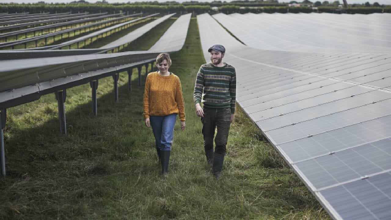 El 86% de las empresas en América Latina tienen una estrategia de sustentabilidad, pero solo el 37% la han implementado.