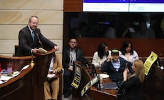 Plenaria del Senado debate de la Consulta Popular