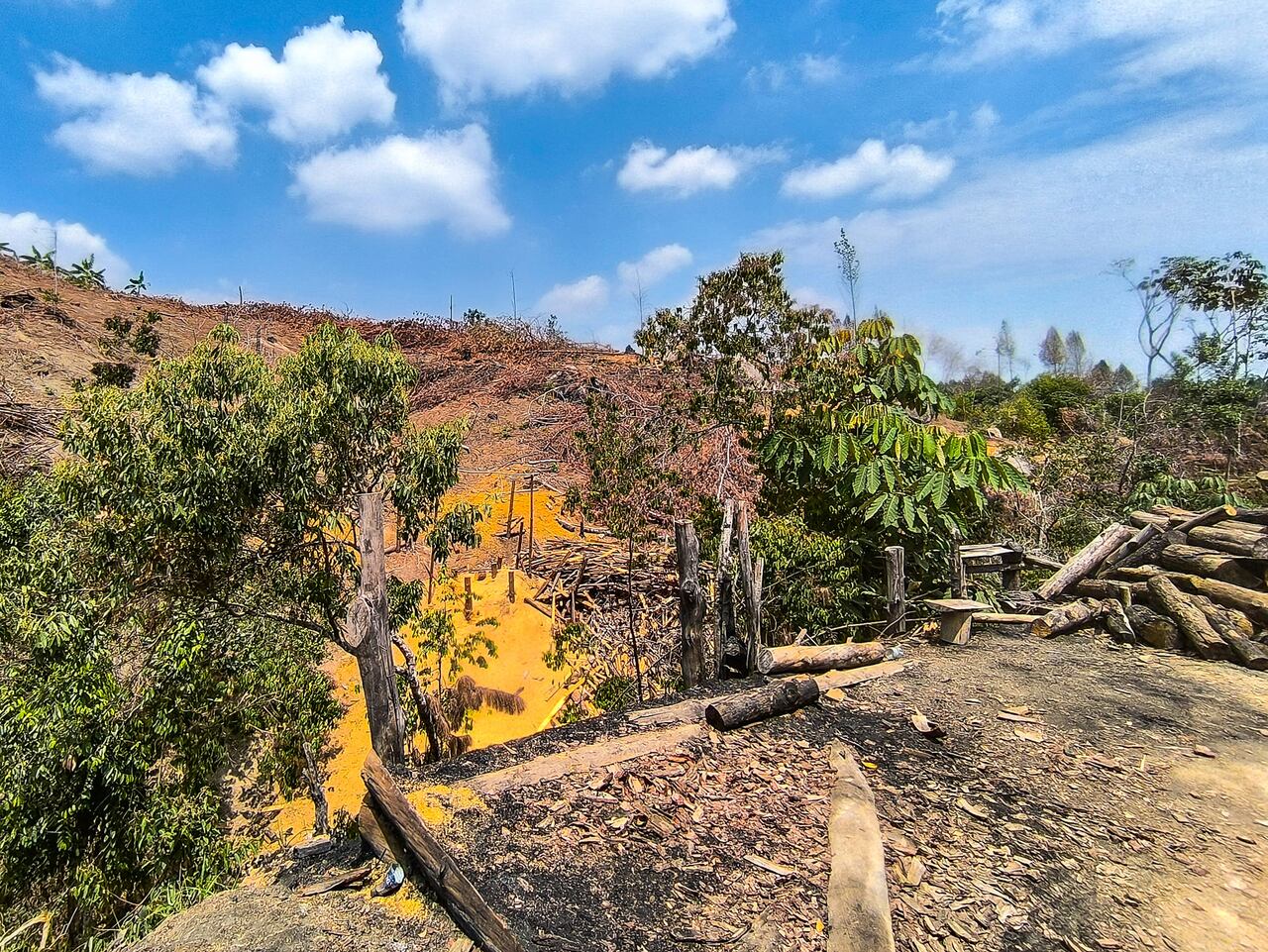 La devastación de esta reserva forestal, ya que se han quemado y destruido cientos de árboles y vegetación nativa, afectando también diversas especies de animales, como zarigüeyas, ardillas, armadillos, agutíes, halcones, caracaras, zambullidores, cucaracheros, codornices, horneros, garzas, gavilanes, buitres, abejas, garrapateros, vencejos, colibríes, reinitas y carpinteros.