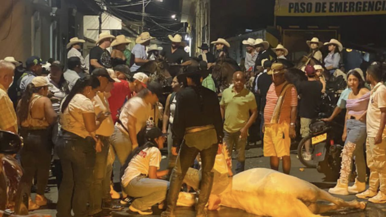 El equino quedó tendido en mitad de la calle, ante la indignación de la ciudadanía.