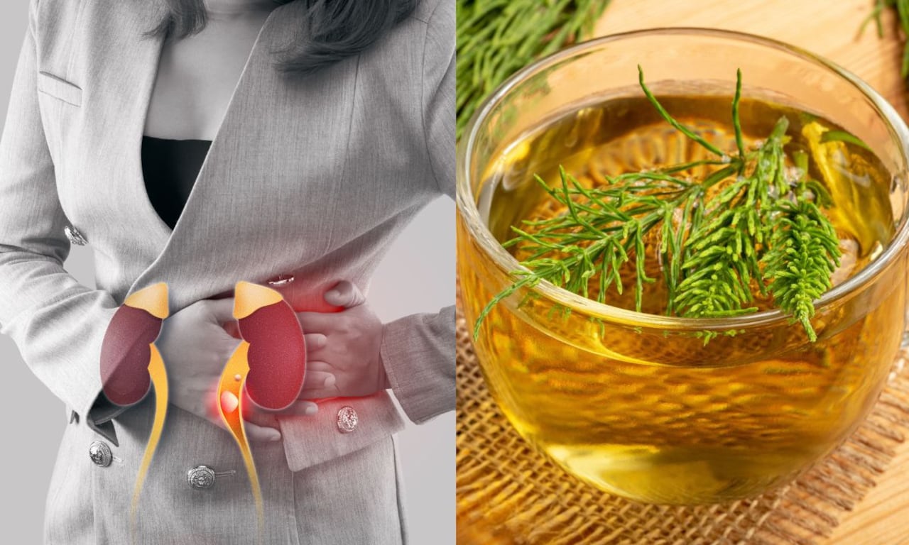 La hierba que combate los cálculos renales.