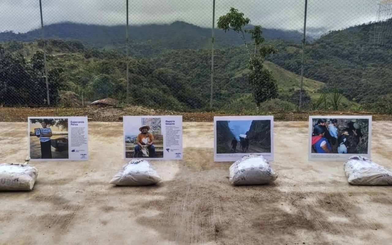 Las labores de búsqueda se realizaron en resguardos indígenas y zonas montañosas, donde por años persistió la incertidumbre de las familias.