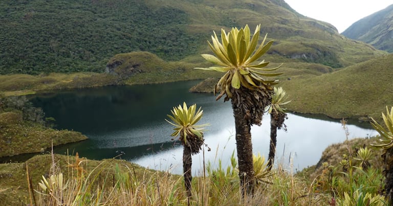 Parque Nacional Natural Las Hermosas. Laguna Las Mellizas.