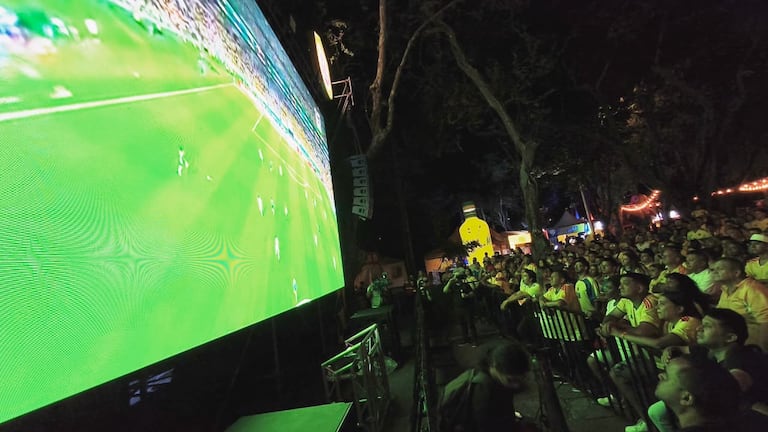 Cientos de aficionados se congregaron en el Parque de La Retreta, en el centro de Cali, para seguir en pantallas gigantes el debut de la Selección Colombia en el Mundial 2026. La fiesta tricolor estuvo acompañada de música, baile y un ambiente familiar.