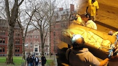 El exjefe de la morgue de Harvard es juzgado por tráfico de órganos. Imagen de referencia