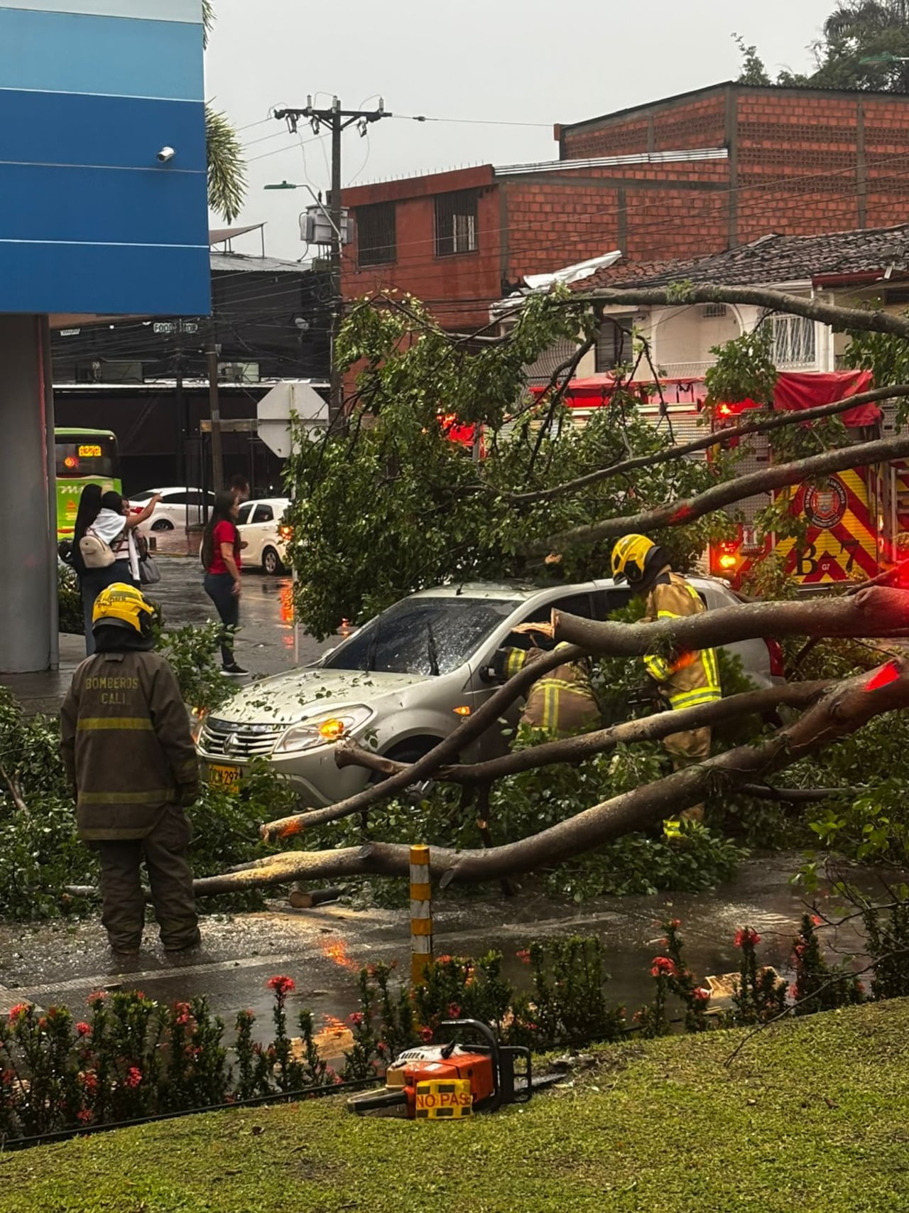 Durante este jueves, un enorme árbol cayó sobre una vía cerca al centro comercial Único tras las fuertes lluvias ocurridas.