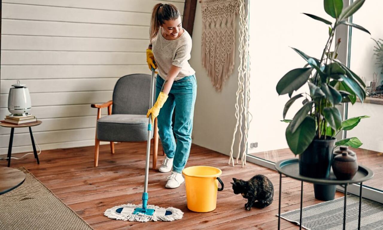 Limpieza de orín de gato.