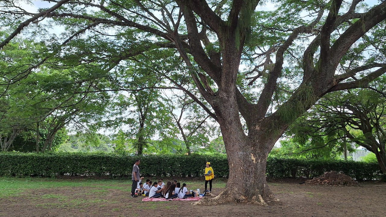 LitWorld participará como invitado internacional con su experiencia global en promoción de lectura.