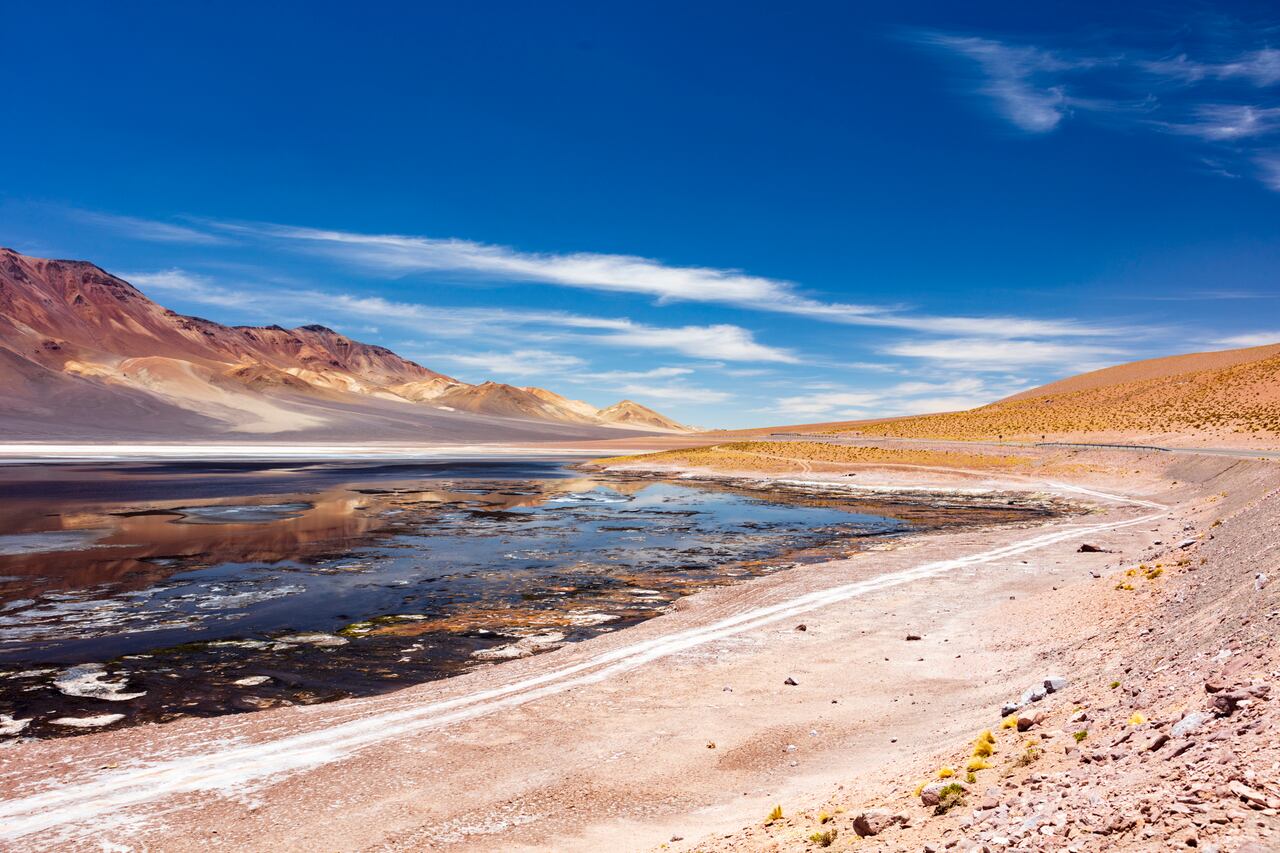 Chile lidera el sobregiro ecológico en América Latina: