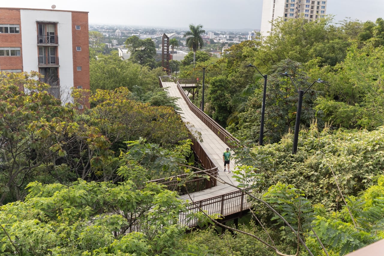 Entre aves, senderos y vegetación: el plan perfecto en Cali para desconectarse durante la Semana Santa es visitar Cristo Rey.