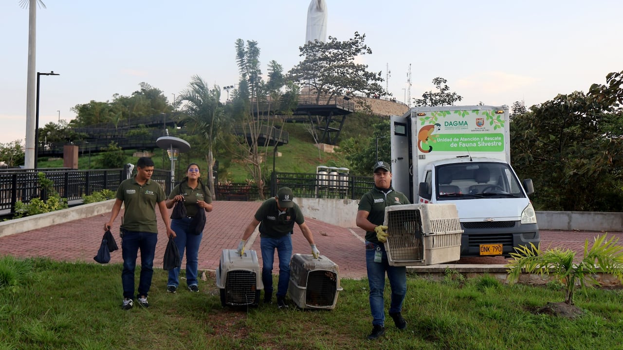 El Ecoparque de Cristo Rey recibió 16 animales silvestres recuperados en el Hogar de Paso del Dagma.