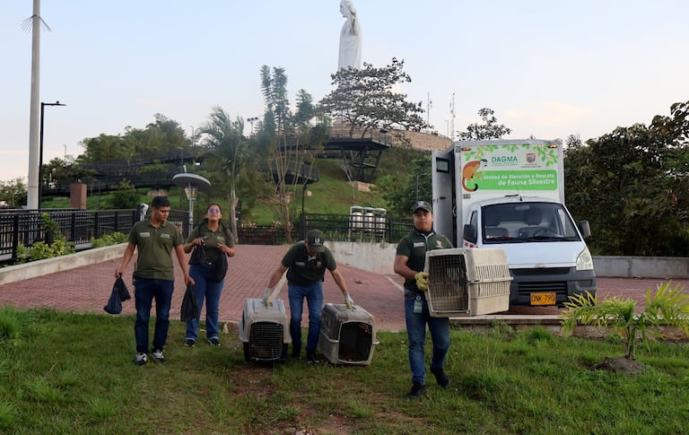 El Ecoparque de Cristo Rey recibió 16 animales silvestres recuperados en el Hogar de Paso del Dagma.