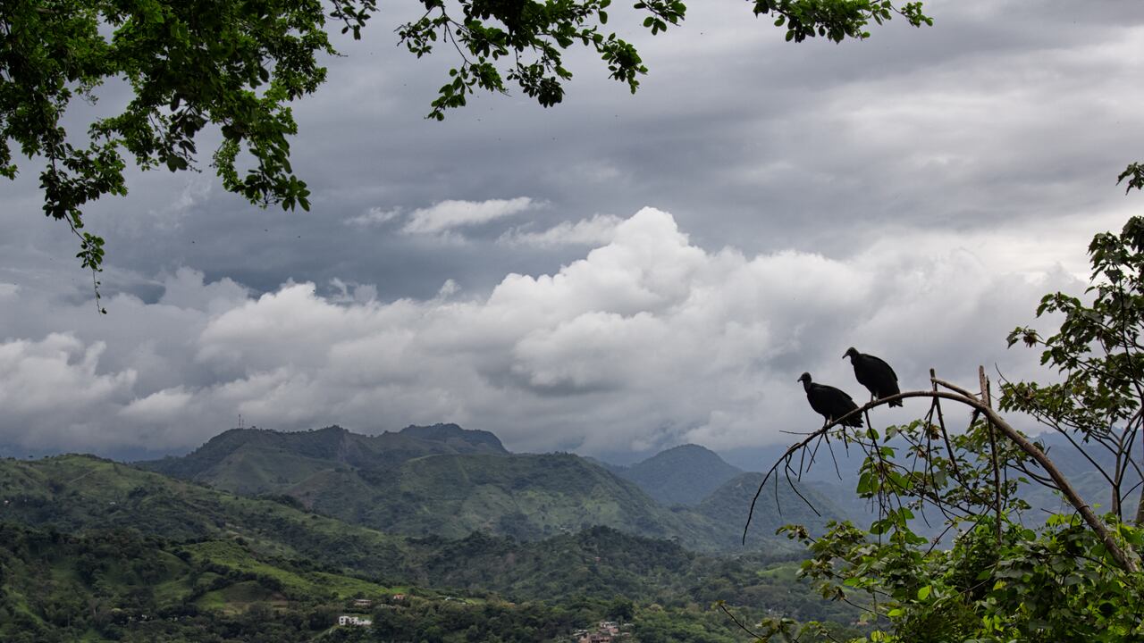 ¿Cuánto cuesta el pasaje en bus de Bogotá a Villeta en 2024?