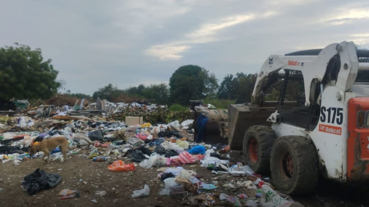 Este plan tiene como finalidad el generar un impacto ambiental y concientizar a la ciudadanía.