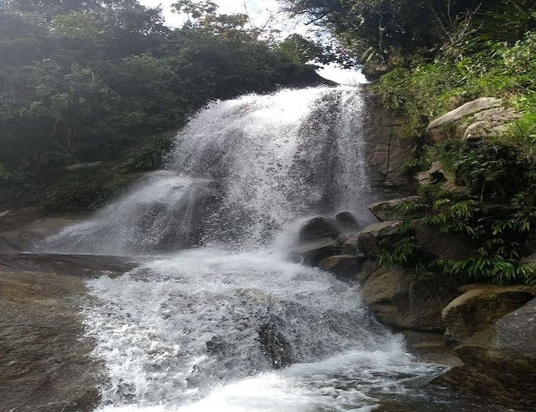Argelia, Antioquia