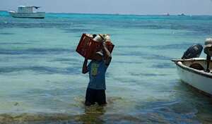 isla de San Andres Colombia
raizal raizales isleños nativos
Cooperativa de Pescadores pesca mar caribe
Sept 2018
foto Guillermo Torres revista Semana