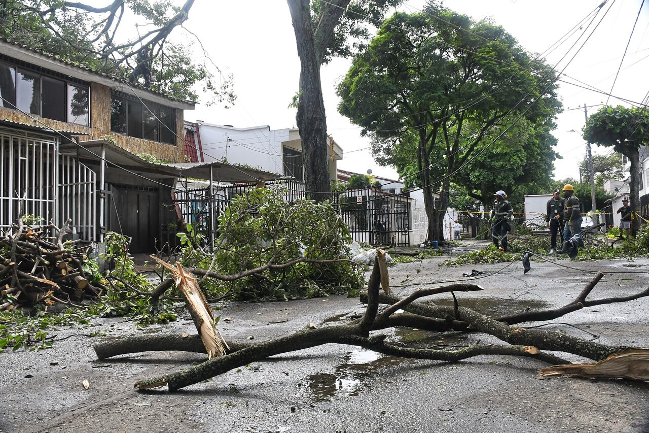 Cali: Fuerte lluvia genera emergencia en el norte de la ciudad por la caída de más de 24 árboles en diferentes barrios. Foto José L Guzmán. El País